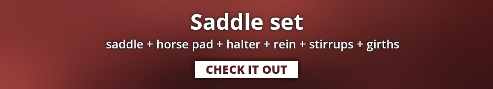 Saddle set - saddle, horse pad, halter, ,rein, stirrups, girths